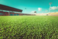 Turf Care and Renovation Solutions for Race Clubs, Councils and Sport Fields
